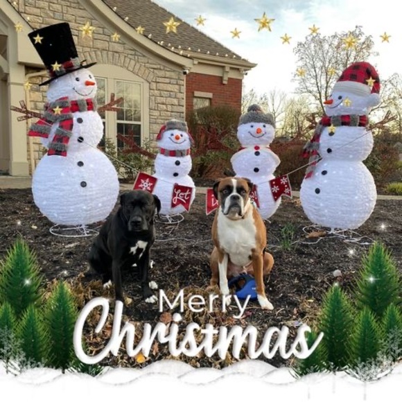 Meet your Posher, Cecilia - Picture 1 of 1